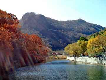 澳门二四六天天彩图库，天涯 论坛